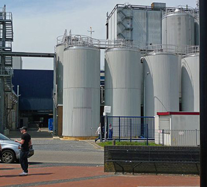 Dairy Plants